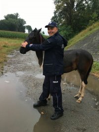 policjanci i odnaleziony koń