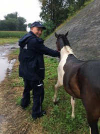 policjanci i odnaleziony koń