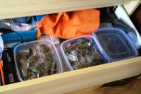zabezpieczone  przez policję narkotyki- marihuana schowana w plastikowych pudełkach
