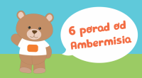 6 porad Ambermisia